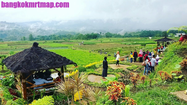 Desa Wisata Ramah Lingkungan Yang Cocok Untuk Di Jelajahi Dan Healing